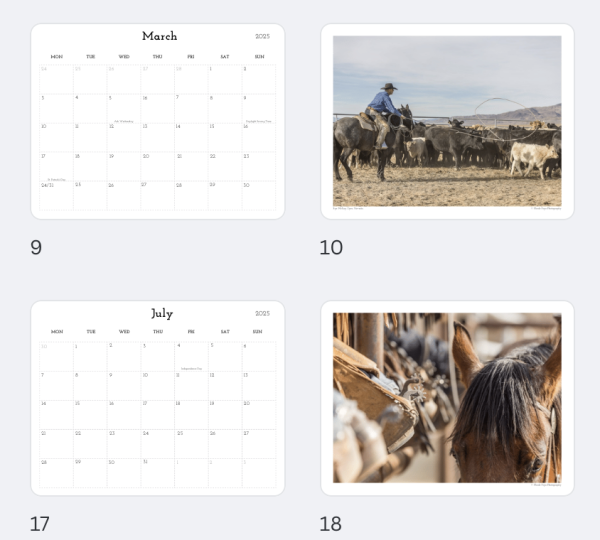 2025 12-Month Wall Calendar by Nicole Poyo Brennan - Image 3